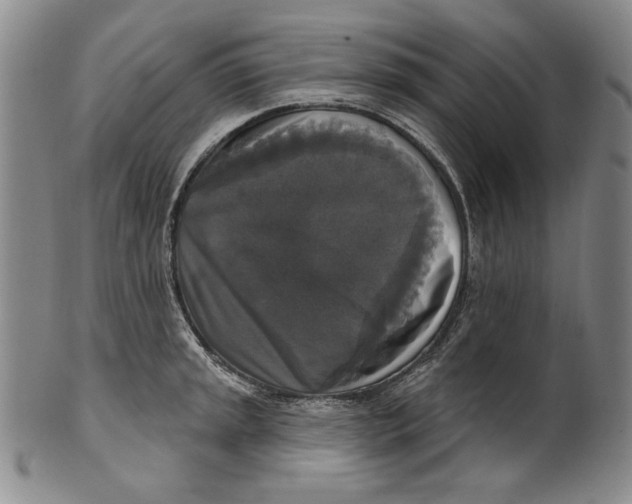 X0000101971045200808081547