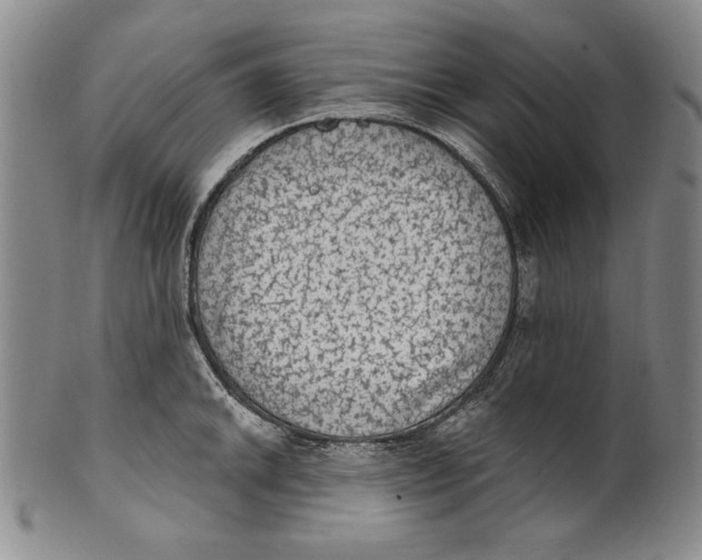 X0000101971046200808081547