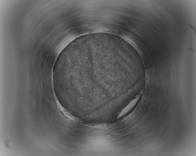 X0000101971047200808081547