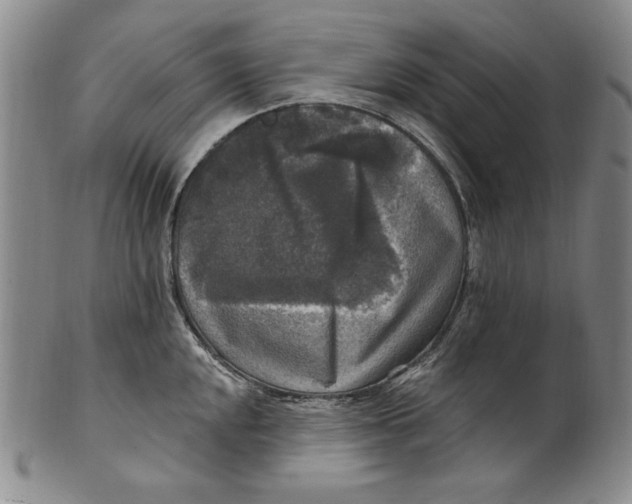 X0000101971048200808081547