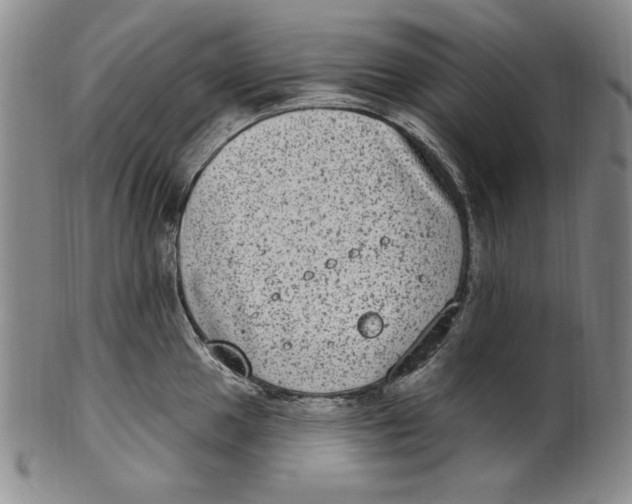 X0000101971049200808081547