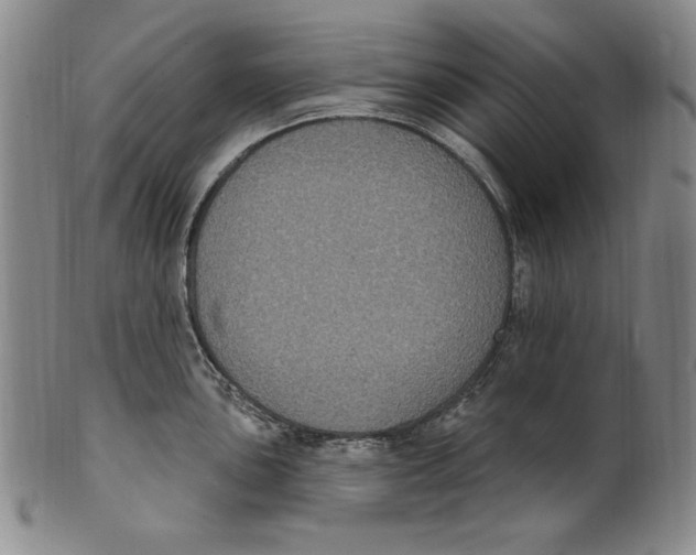 X0000101971051200808081547