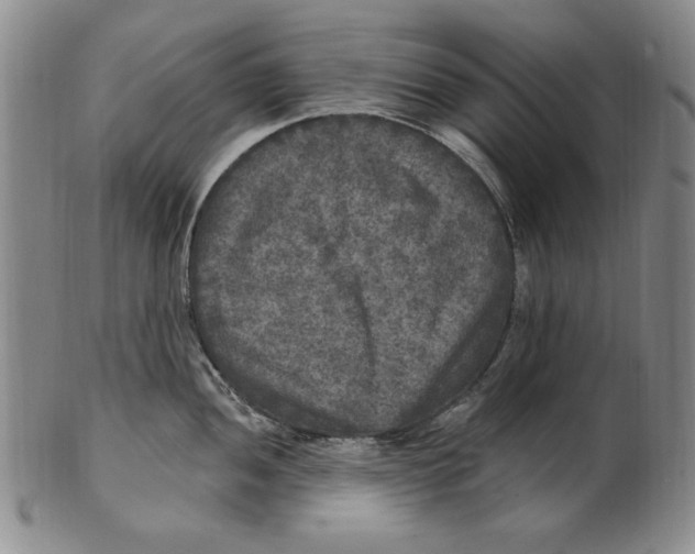 X0000101971052200808081547