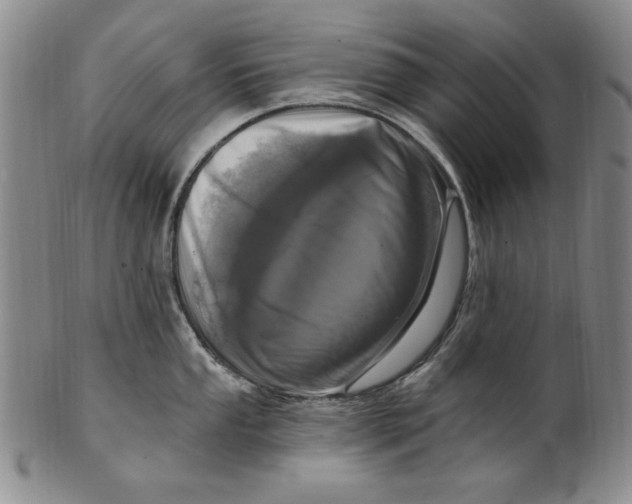 X0000101971053200808081547