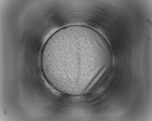 X0000101971054200808081547