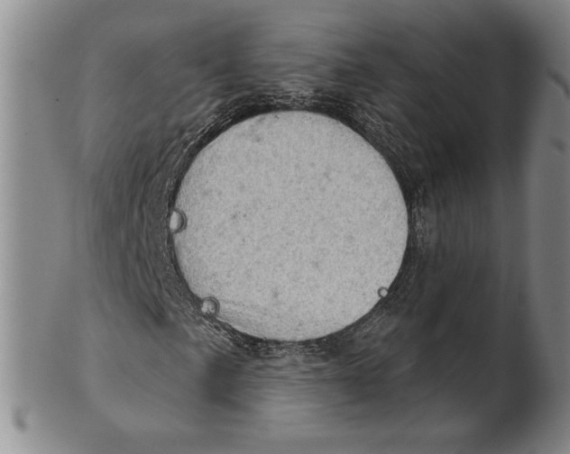 X0000101971057200808081546