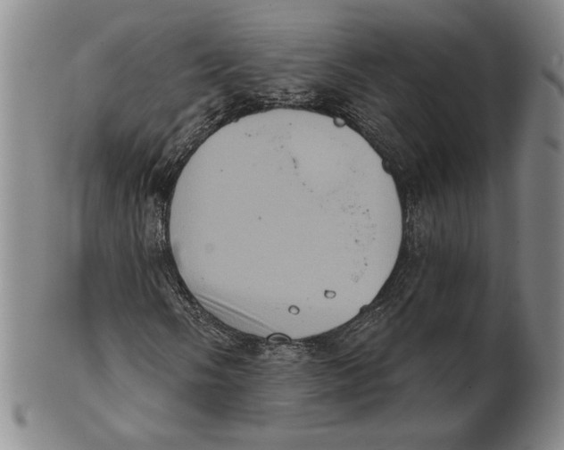 X0000101971058200808081546