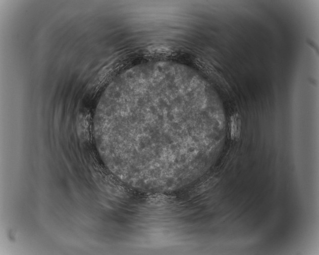 X0000101971059200808081546