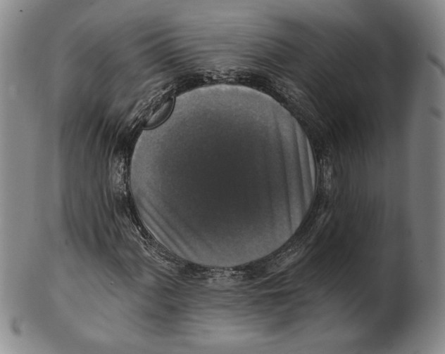 X0000101971060200808081546