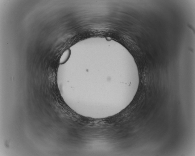 X0000101971061200808081546