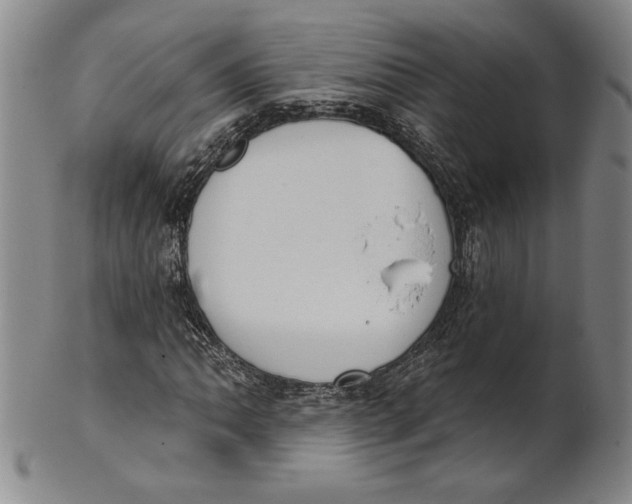 X0000101971062200808081546