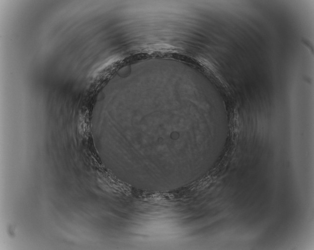 X0000101971063200808081546