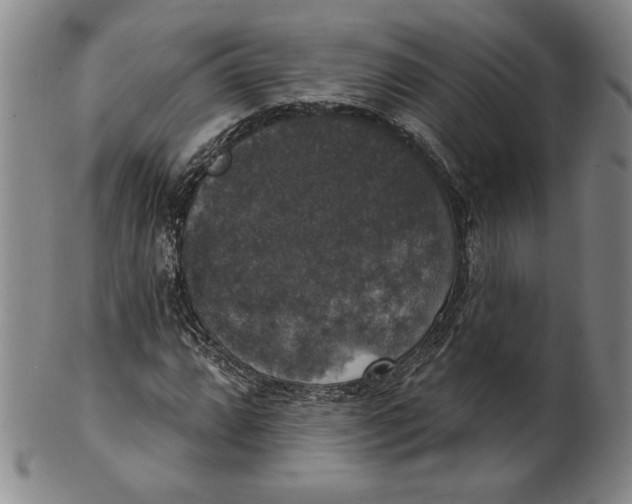 X0000101971064200808081546