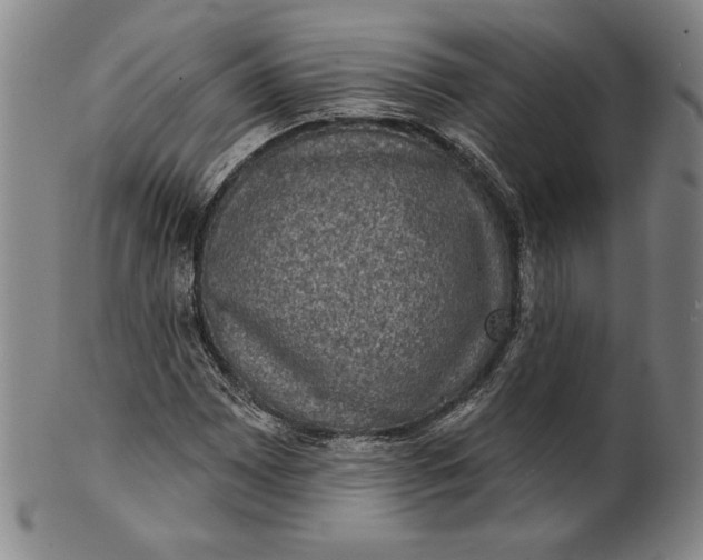 X0000101971065200808081546