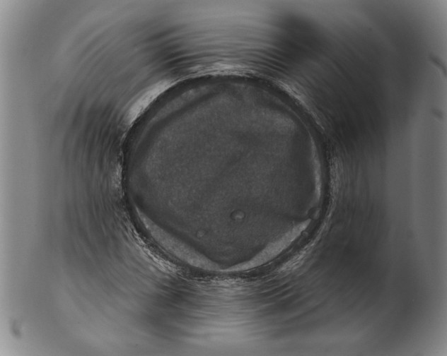 X0000101971066200808081546