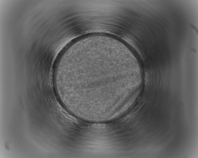 X0000101971068200808081546