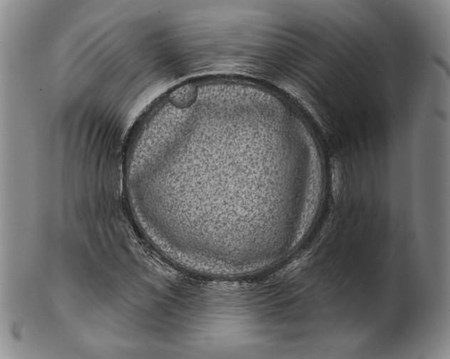 X0000101971069200808081546