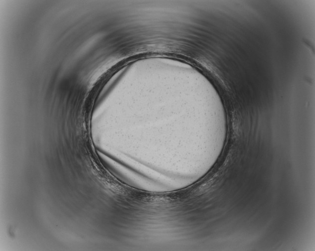 X0000101971070200808081546