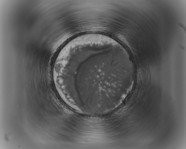 X0000101971071200808081546