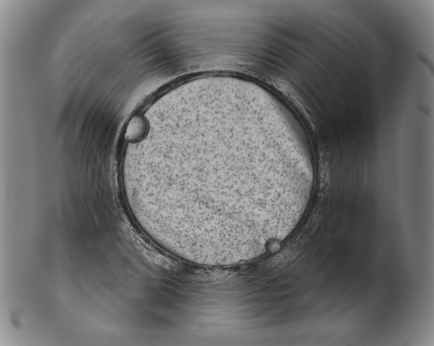 X0000101971072200808081546