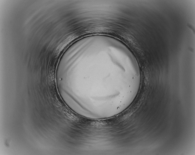 X0000101971073200808081546