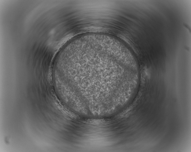 X0000101971074200808081546