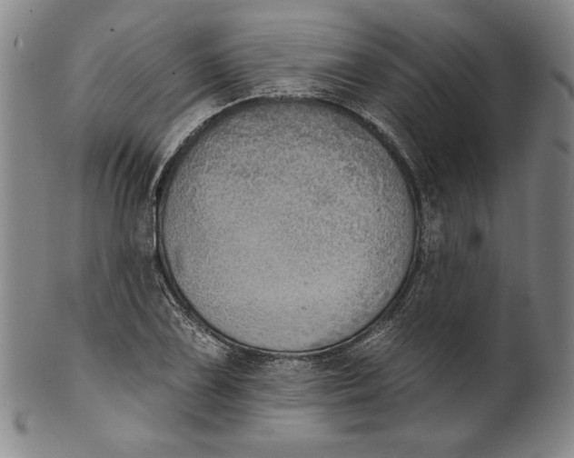 X0000101971075200808081546