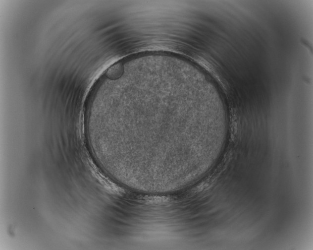 X0000101971076200808081546