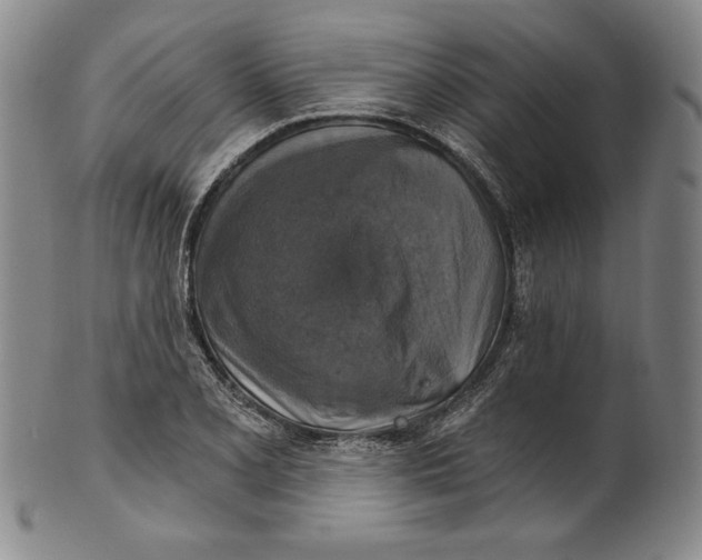 X0000101971077200808081546