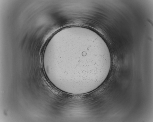 X0000101971078200808081546