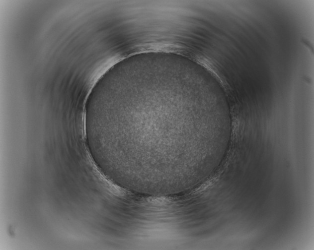 X0000101971079200808081546