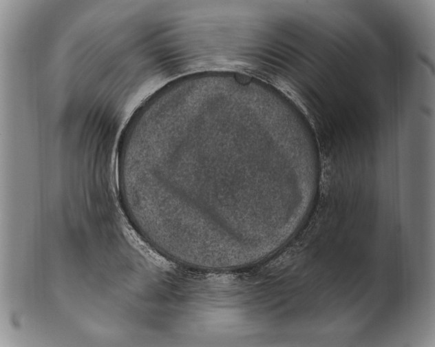 X0000101971080200808081546