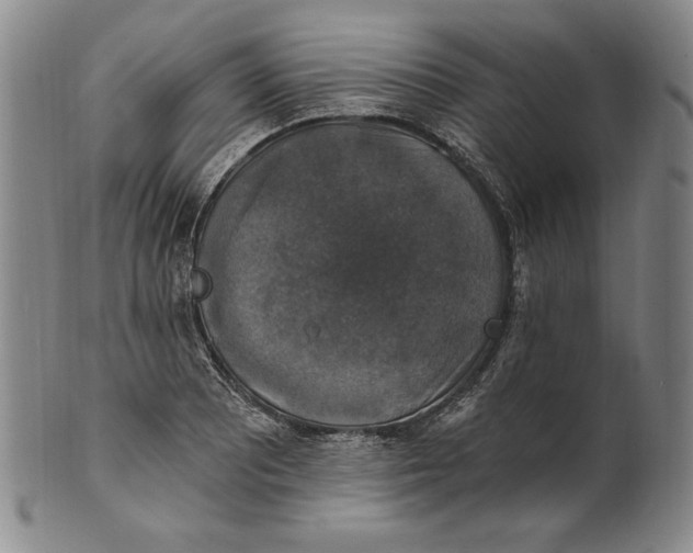 X0000101971081200808081546