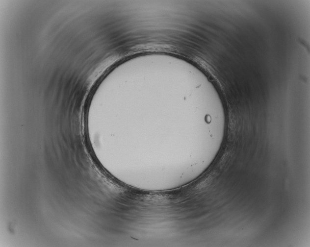 X0000101971082200808081546