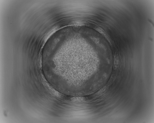 X0000101971083200808081546