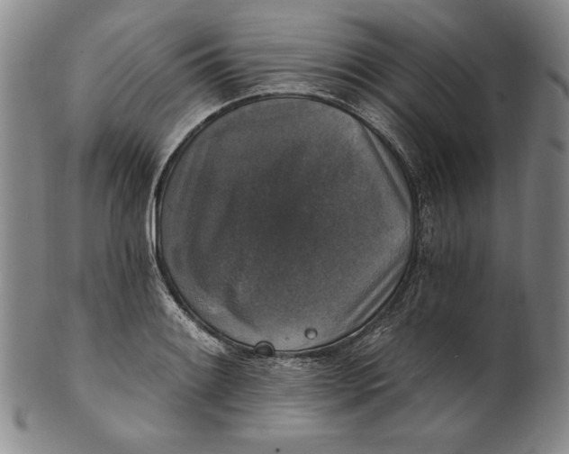 X0000101971084200808081546