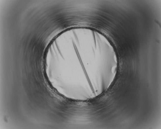 X0000101971085200808081546