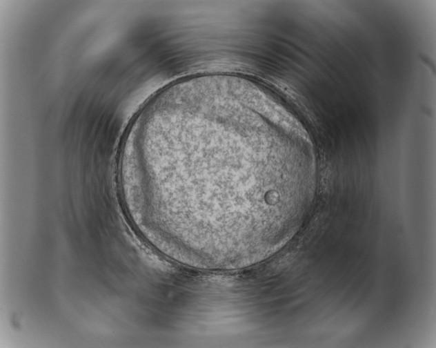 X0000101971086200808081546