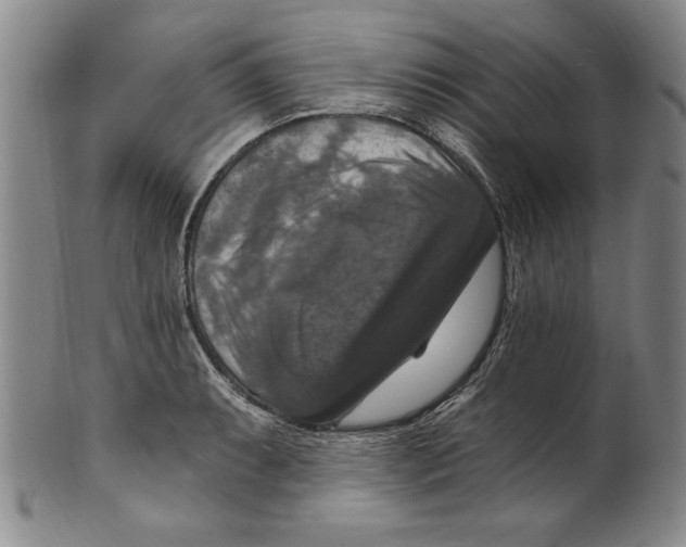 X0000101971087200808081546