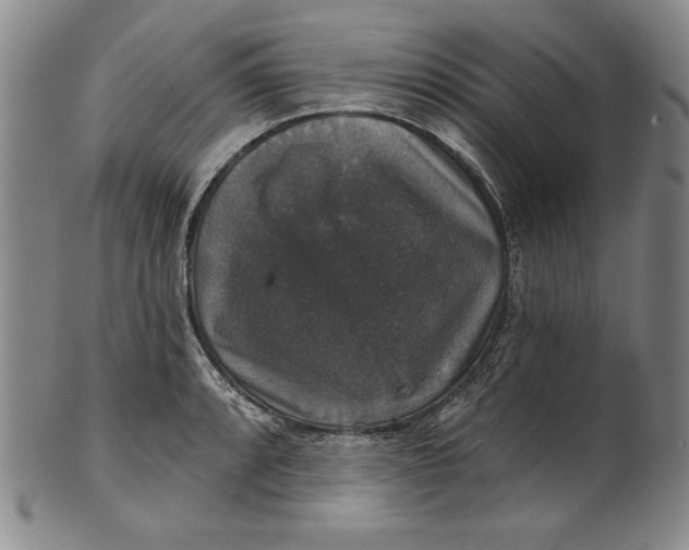 X0000101971088200808081546