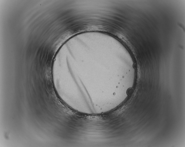 X0000101971089200808081546