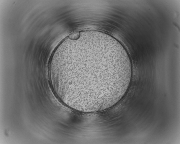 X0000101971090200808081545