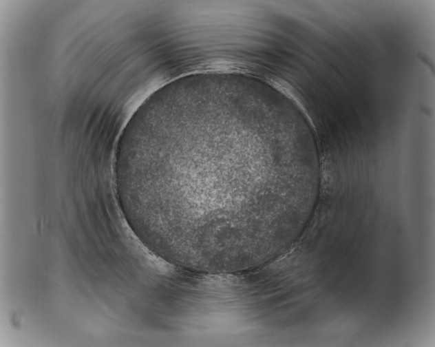 X0000101971091200808081545