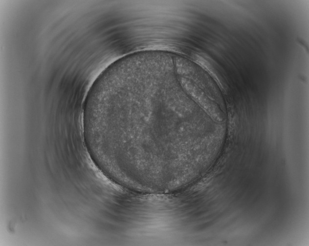 X0000101971092200808081545