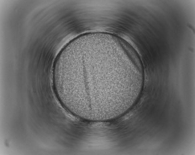 X0000101971093200808081545