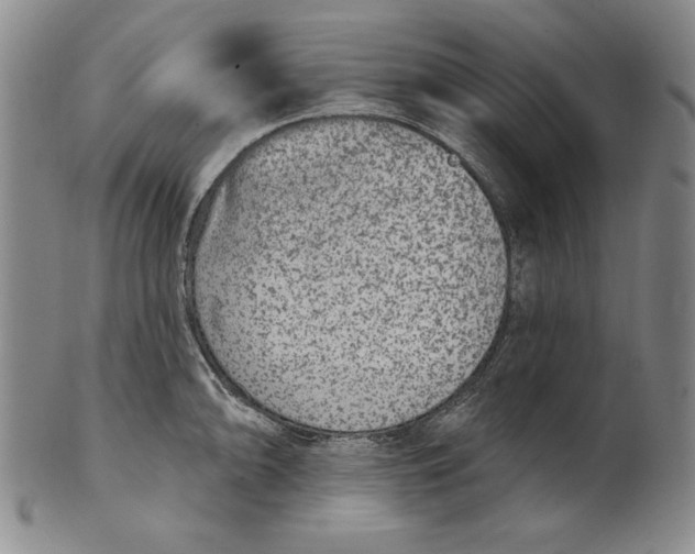 X0000101971094200808081545