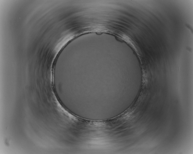 X0000101971095200808081545