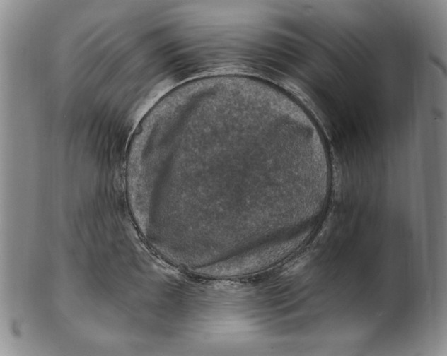 X0000101971097200808081545