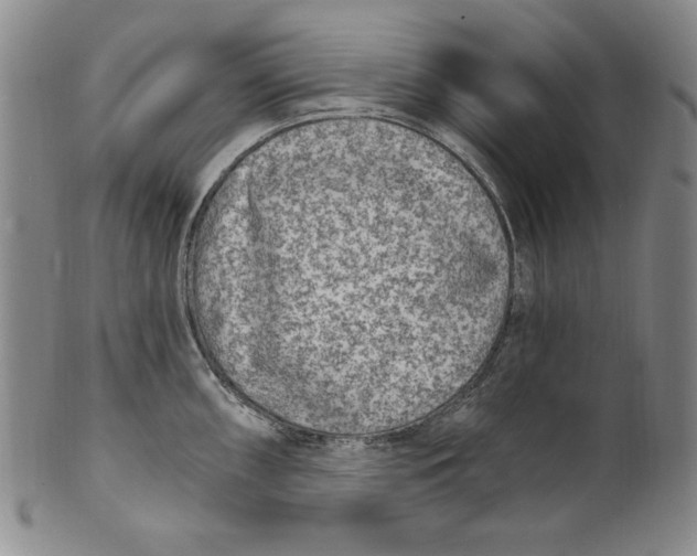 X0000101971098200808081545