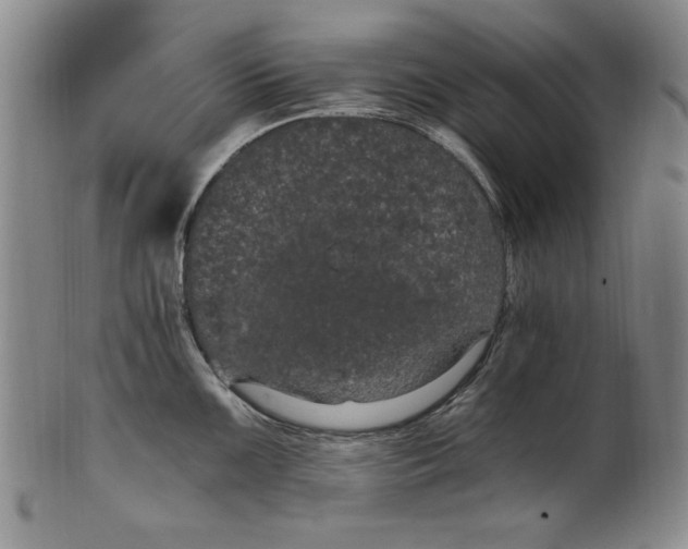 X0000101971099200808081545